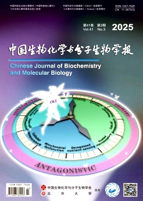 中國生物化學與分子生物學報
