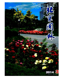 園林工程師晉級(jí)條件有哪些