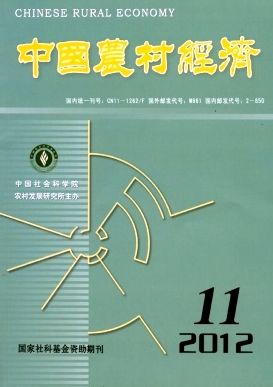 河南農(nóng)村經(jīng)濟(jì)論文如何創(chuàng)作