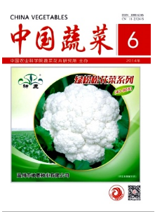 甘藍(lán)種植栽培新技術(shù)應(yīng)用戰(zhàn)略
