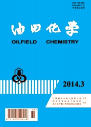 油田工程監理工程新戰略方針制度