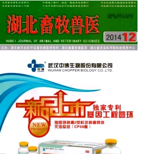 湖北省2016年畜牧獸醫職稱考試評審條件有哪些