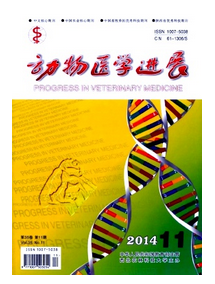 動物醫(yī)學進展雜志收錄什么論文