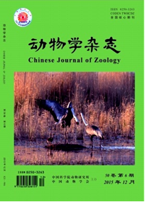 動物學雜志征稿范例