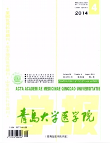 青島醫學類論文格式有何要求