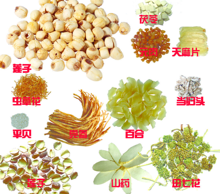 中西藥學的發展管理制度