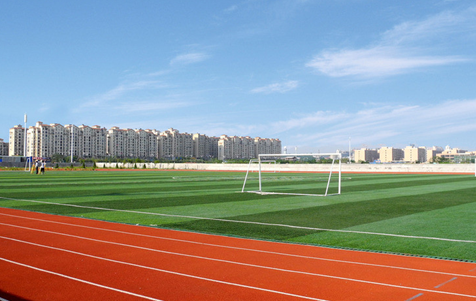 體育教學改革管理應用的新發展狀況