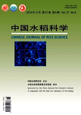 水稻科學種植管理新技術應用