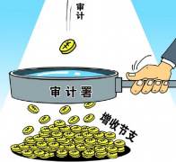 審計師論文論企業單位的審計管理新應用模式有何意義