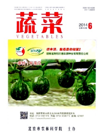 蔬菜投稿