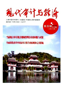 電子數(shù)據(jù)審計(jì)新科技應(yīng)用方針