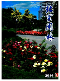 園林管理新建設發展模式方式