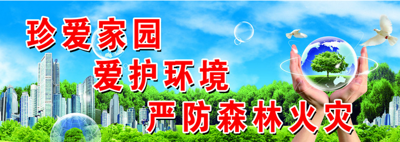 林業管理論文發表格式