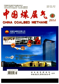 中國煤層氣論文編寫