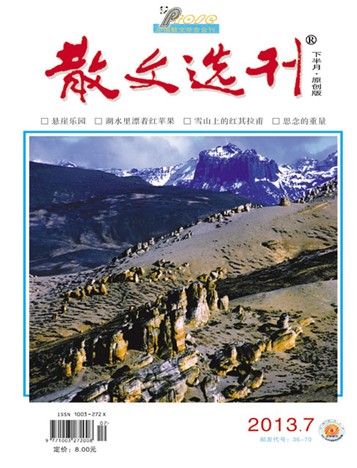 散文選刊