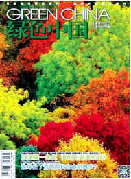 綠色中國征稿