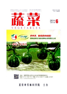 蔬菜中新科技栽培技術應用