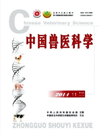 湖北獸醫(yī)職稱條件有哪些呢