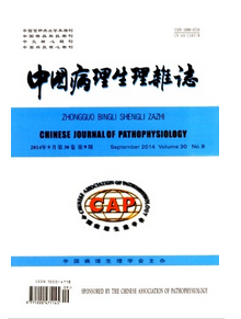 廣東醫(yī)學(xué)論文能來(lái)中國(guó)病理生理雜志發(fā)表嗎