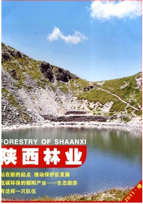 縣區(qū)林業(yè)新科技發(fā)展戰(zhàn)略