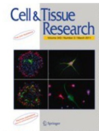 Cell and tissue research