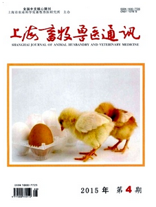 上海獸醫師職稱評審條件有哪些