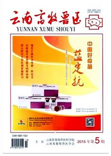 云溪市畜牧獸醫(yī)職稱條件要滿足哪些