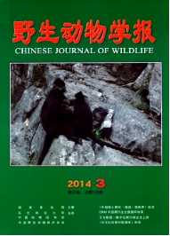 野生動物學(xué)報征稿時間