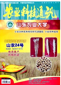 大棚絲瓜種植新科技應(yīng)用技巧