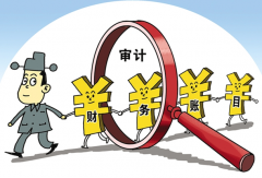 審計新應用創新的管理