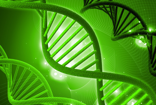 論現在生物教學建設的新科技發展