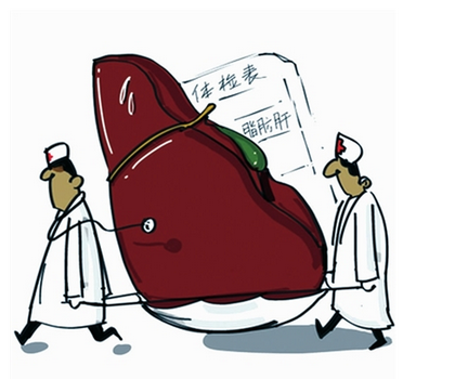 探究當(dāng)前脂肪肝產(chǎn)生的原因及治療措施