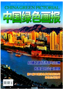 中國綠色畫報論文