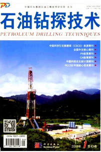 中國石油能源新建設改革發展形式