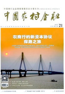 在中國農村金融雜志上發表論文需要寫什么性質文章