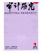 審計新應用管理條例制度發展