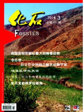 化石