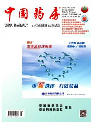 研究生怎么發表CN期刊論文