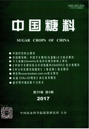 中國糖料