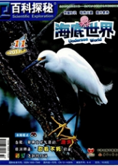 百科探秘