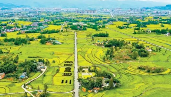 成渝現(xiàn)代高效特色農(nóng)業(yè)帶建設的成都路徑研究