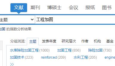 工程加固文獻數量