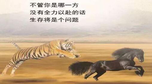 兒童心理專業英文論文