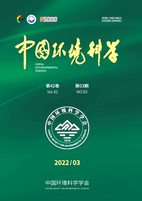 中國環境科學