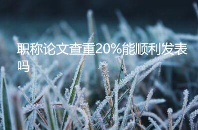 職稱論文查重