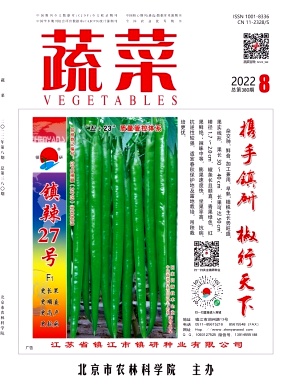 蔬菜