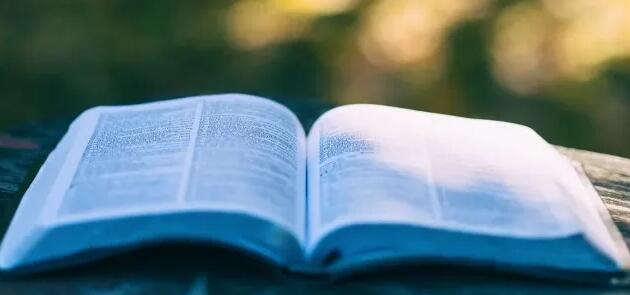 外國書號的書能查到嗎