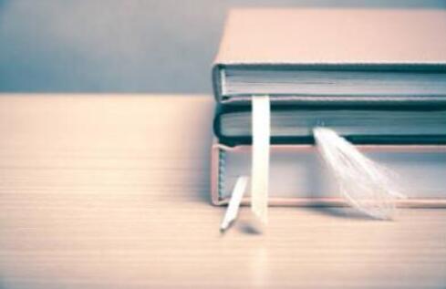 專家審回是什么意思