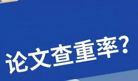 他想大哥給他弄個視頻 放在網站上