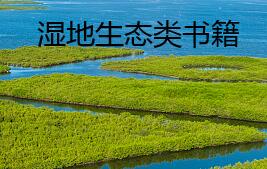 書籍出版周期
